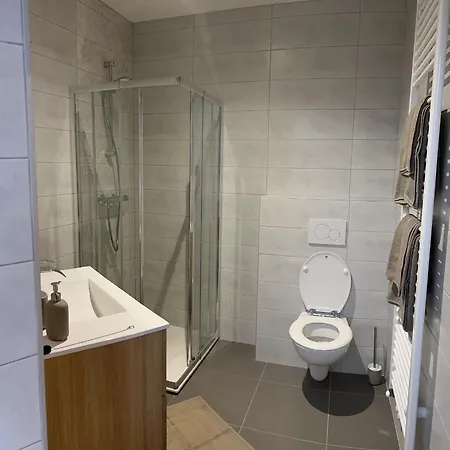 La Cigogne Lejlighedshotel Panissieres